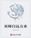 巫师自远方来顶点