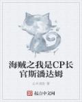 海贼之我是cp长官斯潘达姆是谁