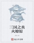 重生三国之炎帅传奇