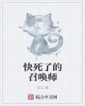 召唤师搬砖快吗