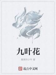 九叶菊是什么花