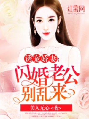 闪婚老公别乱来作者美人无心