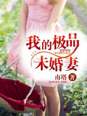 我的极品未婚妻TXT