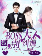 豪门宠妻boss大人别纠缠-都市