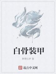 亡灵法师白骨装甲