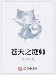 苍天之师正版