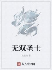 无双圣士txt