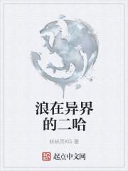 浪在异界的二哈百度百科