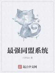 同盟系统是什么意思