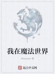 我在魔法世界开创互联网时代好看吗