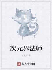 全职法师之次元