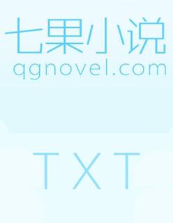 二胎奋斗记txt