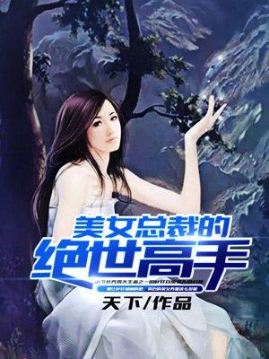 美女总裁的绝世高手txt 全文