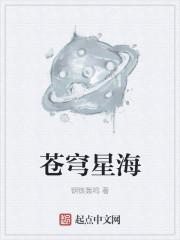 星海镖师苍穹