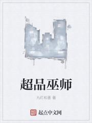 超品巫师后续