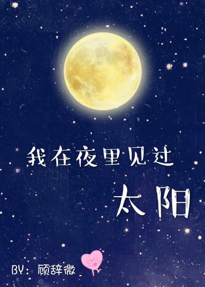 我在夜里见过太阳晋江