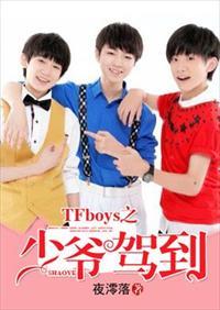 tfboys之少爷驾到TXT