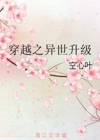 穿越之异世升级txt(空心叶)