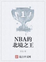 nba的北境之王免费阅读