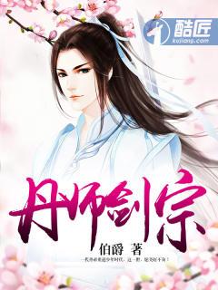 丹师剑宗完整版