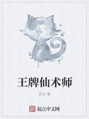 仙术师技能