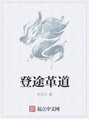 登革是什么意思