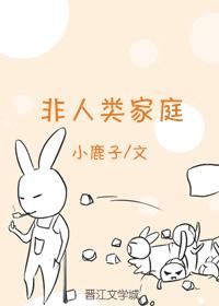 人类家庭的发展经历