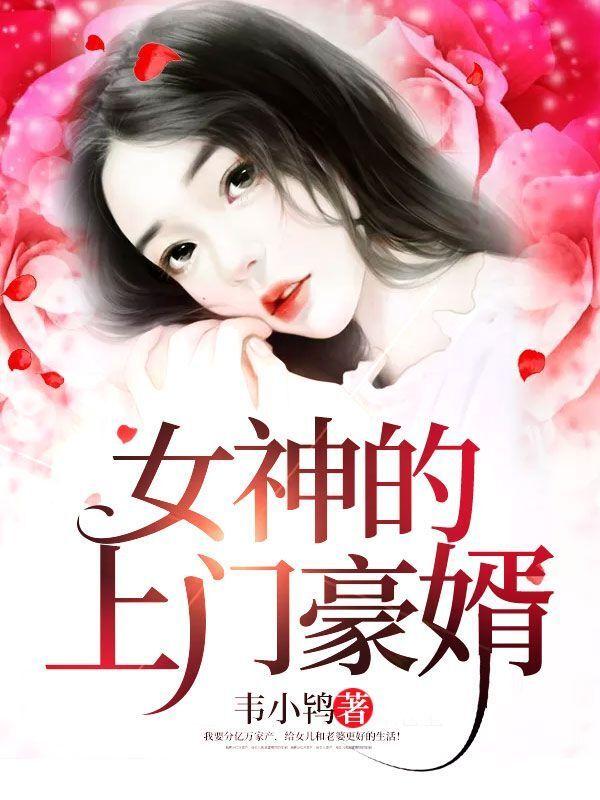 女神的上门豪婿在线阅读