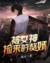 被女神捡来的赘婿txt完整版