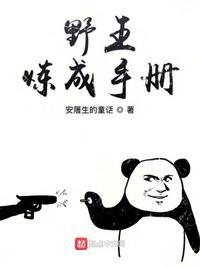 野王炼成手册txt奇书