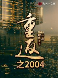 重回2004免费