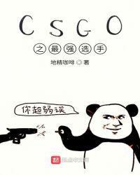 CSgo职业选手参数