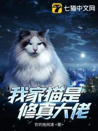 我家猫是修真大佬正版