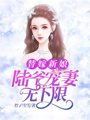 替嫁新娘陆总时第一宠妻