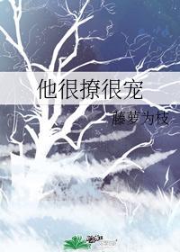 陆执宁蓁叫什么名字