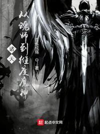 诸天从魂师到维度魔神 百炼成殇