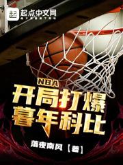 nba开局打爆暮年科比TXT