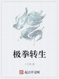 极拳转生无防盗