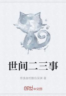 二三世是什么意思