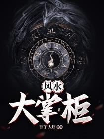 风水大掌柜无删减版