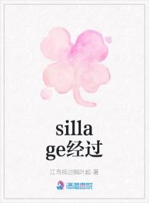 sillage的寓意