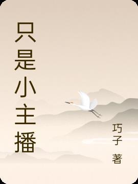 小主播的意思