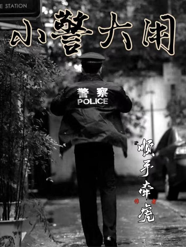 小警大用一共有几部