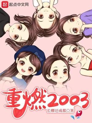 重燃2003全文免费阅读