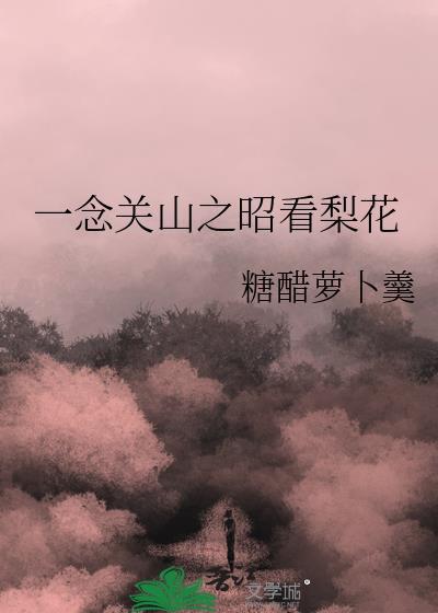 一念关山原著结局