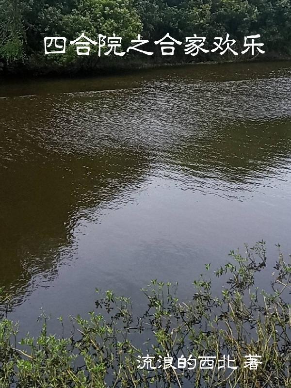 四合院之合家欢乐书