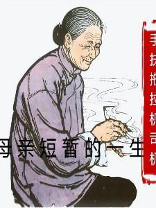 母亲一生的作文