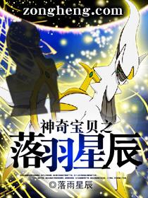 神奇宝贝之落羽星辰epub