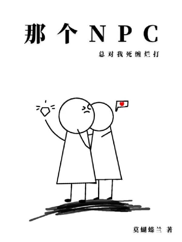 那个npc又不干了txt