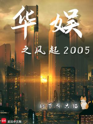 华娱之风起2005顶点